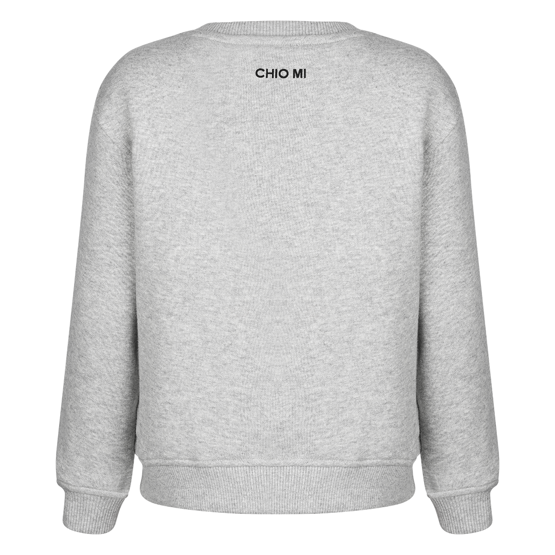 KIDS SWEATSHIRT LION Grau meliert