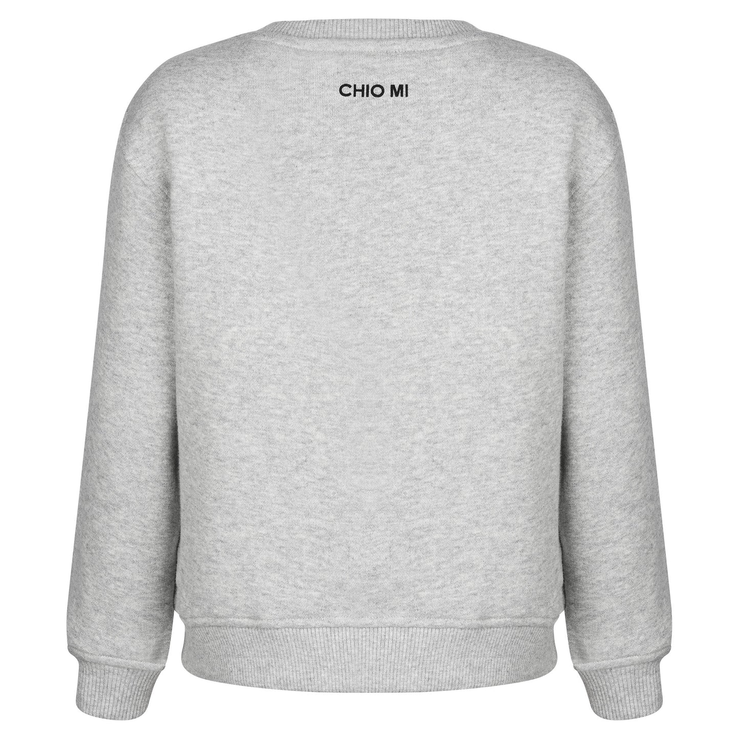 KIDS SWEATSHIRT LION Grey Melange